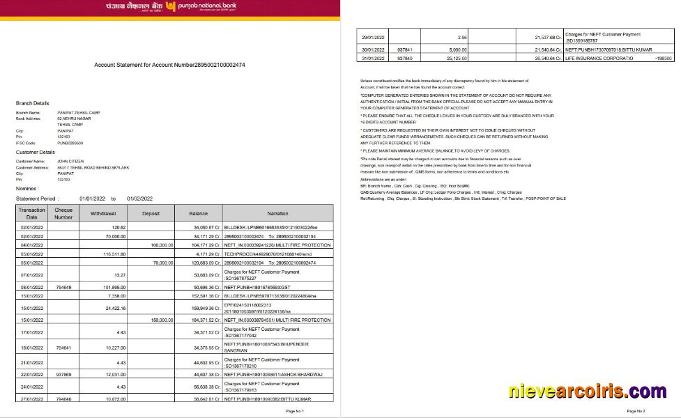 India Punjab National Bank statement Word and PDF, 2 pages, version 2